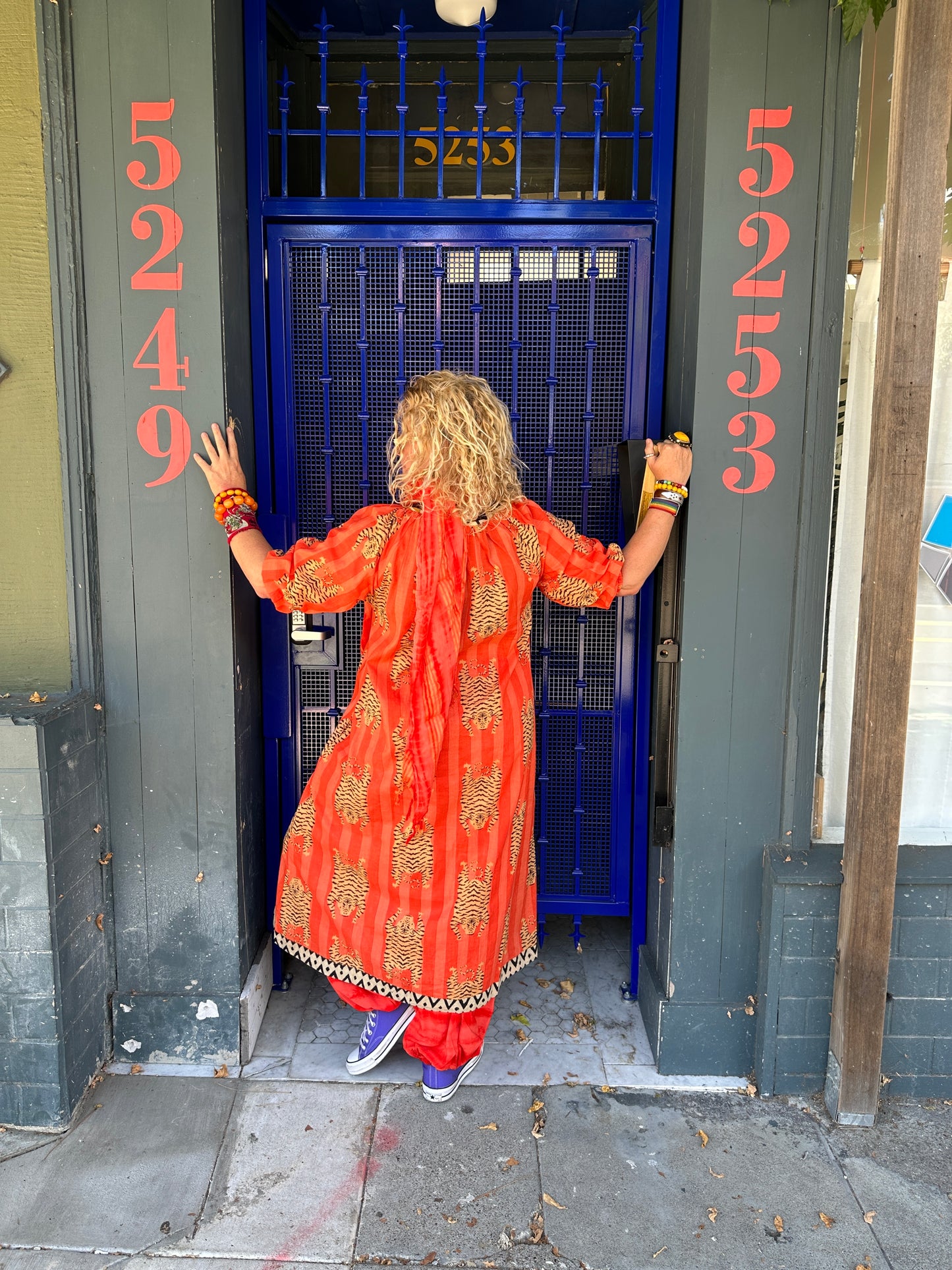 TIGER TUNIC DRESS