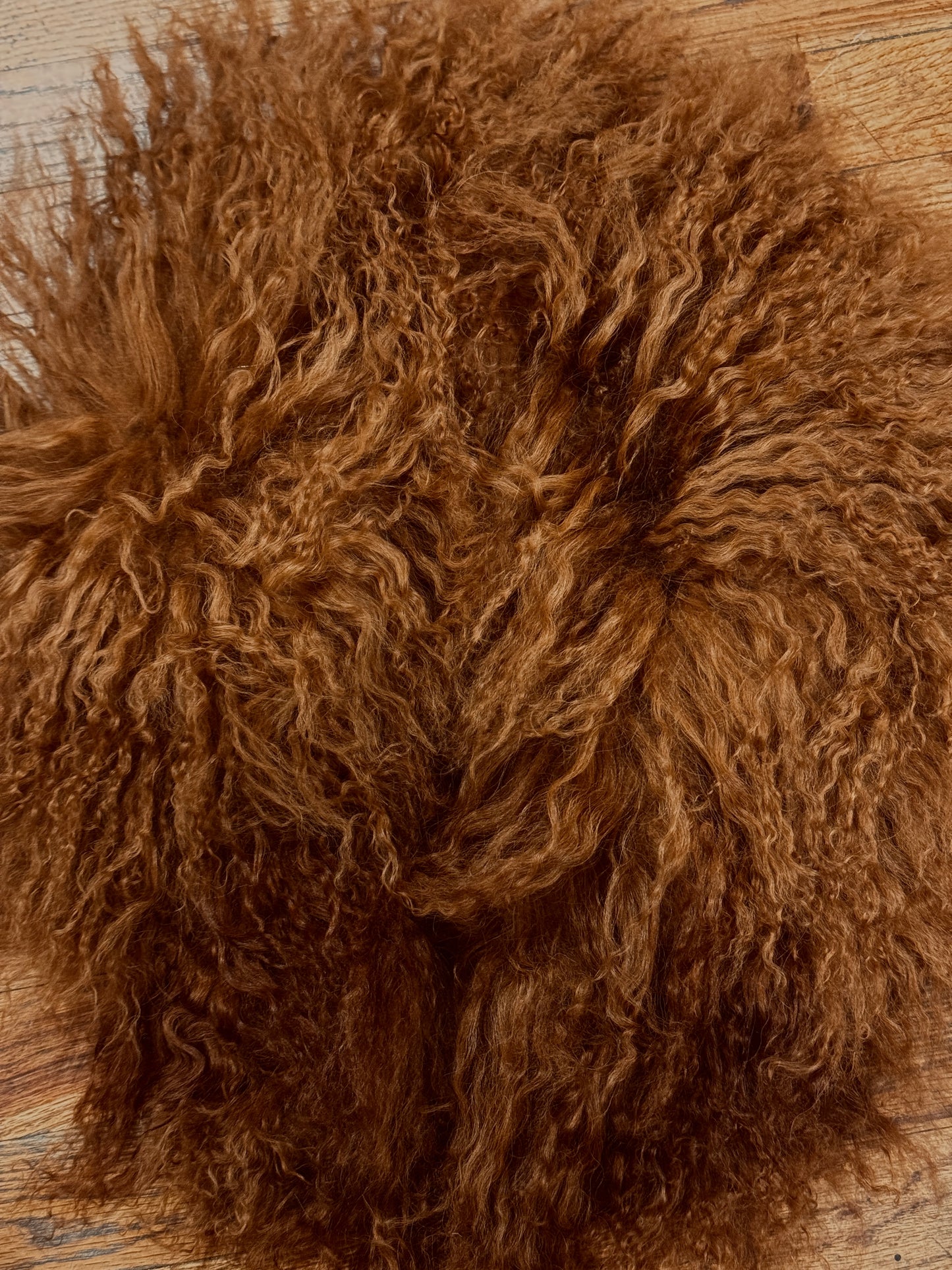 MONGOLIAN CURLY LAMB FUR COLLAR