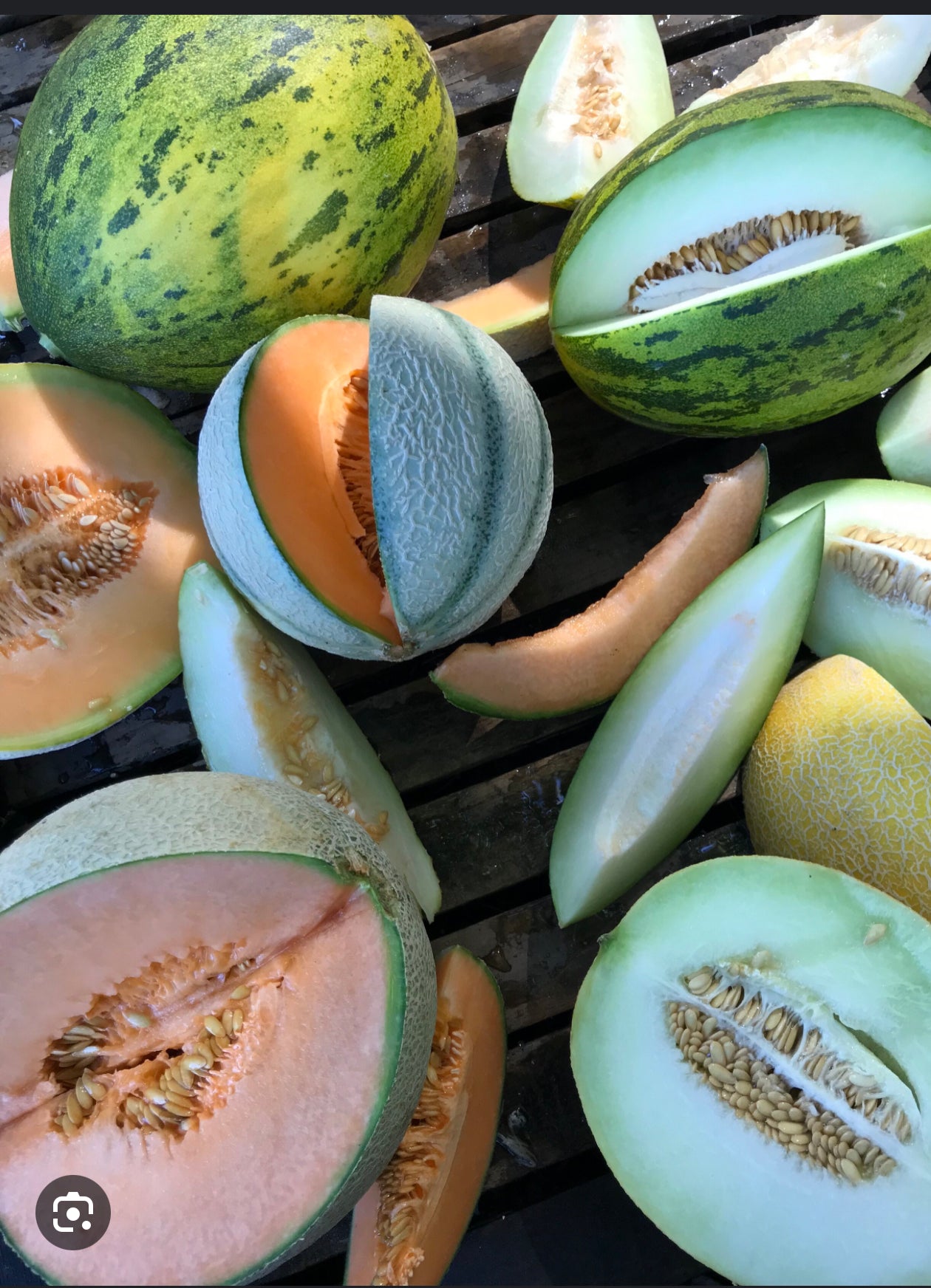 LOLA TOP MELON MEDLEY