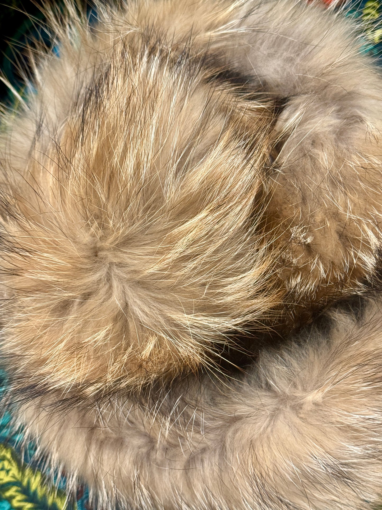 FOX FUR DETACHABLE COLLARS