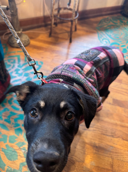 TRIBAL CHIC HAND EMBROIDERED PLAID DOG JACKET