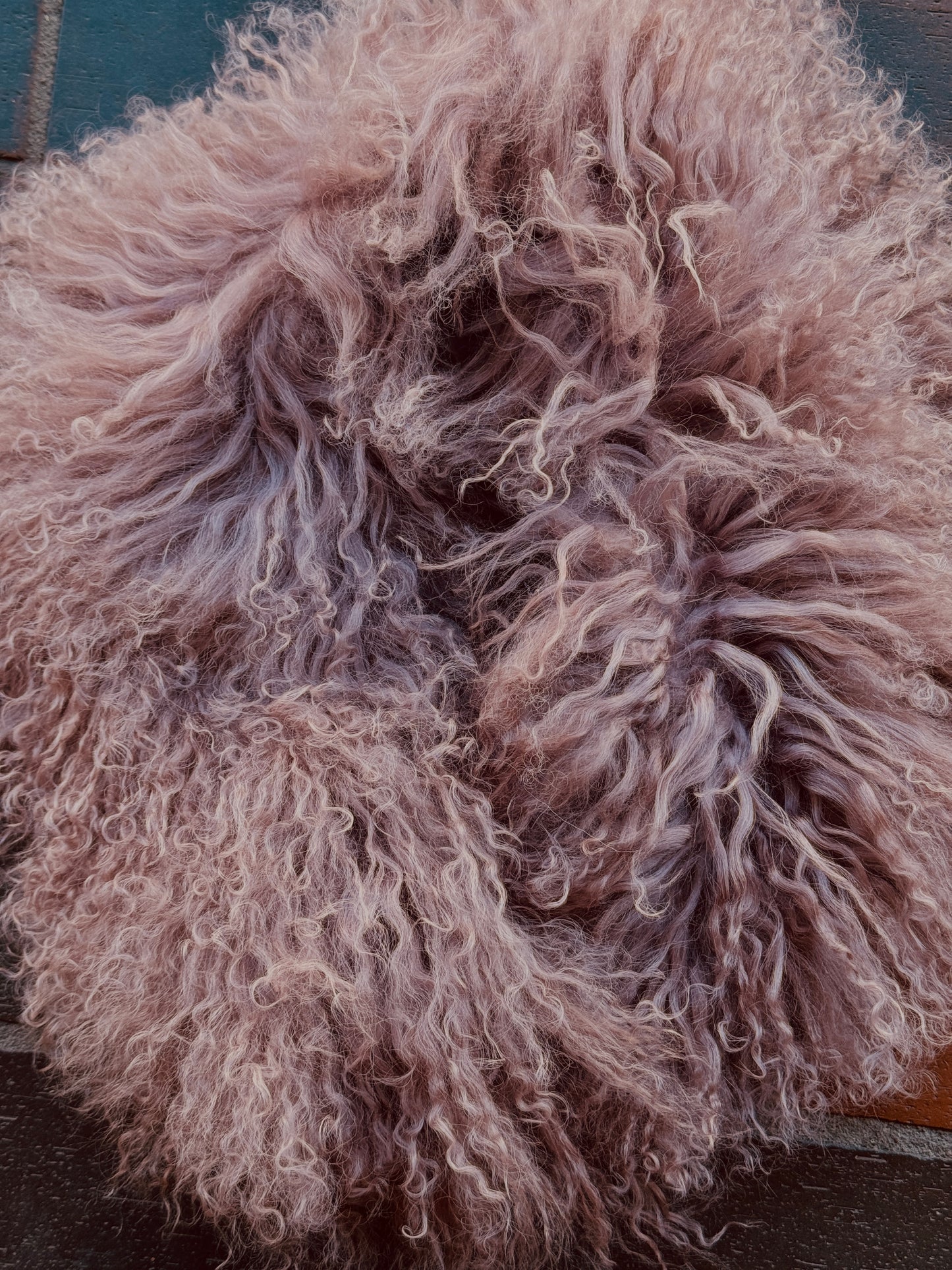 MONGOLIAN CURLY LAMB FUR COLLAR