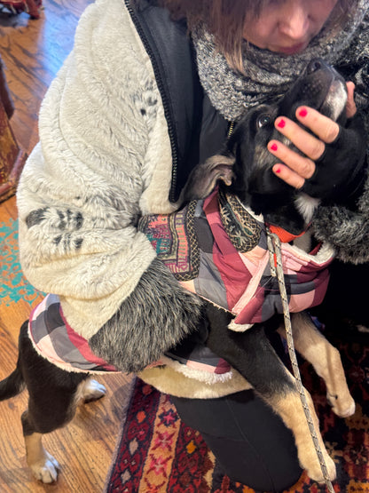 TRIBAL CHIC HAND EMBROIDERED PLAID DOG JACKET