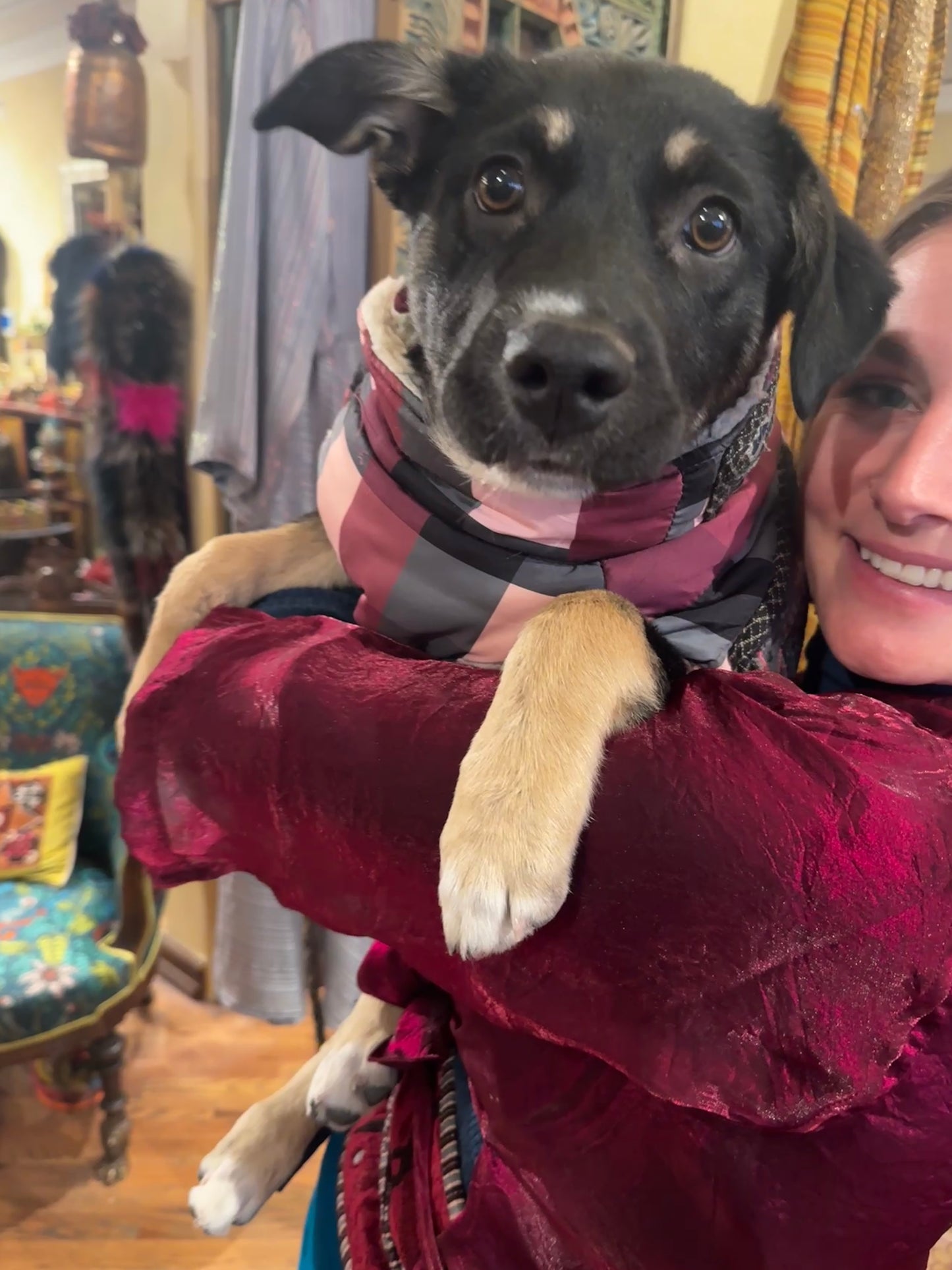 TRIBAL CHIC HAND EMBROIDERED PLAID DOG JACKET