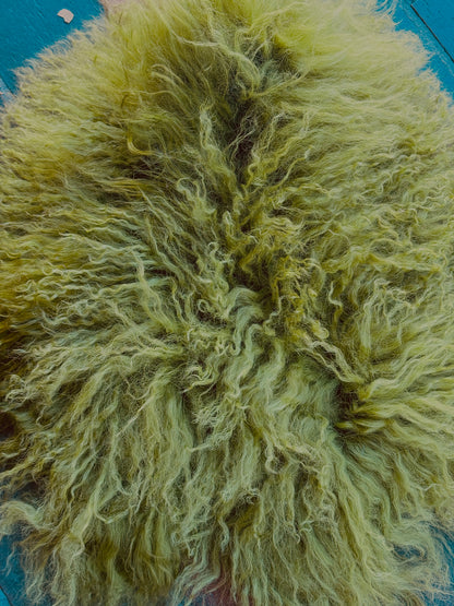 MONGOLIAN CURLY LAMB FUR COLLAR