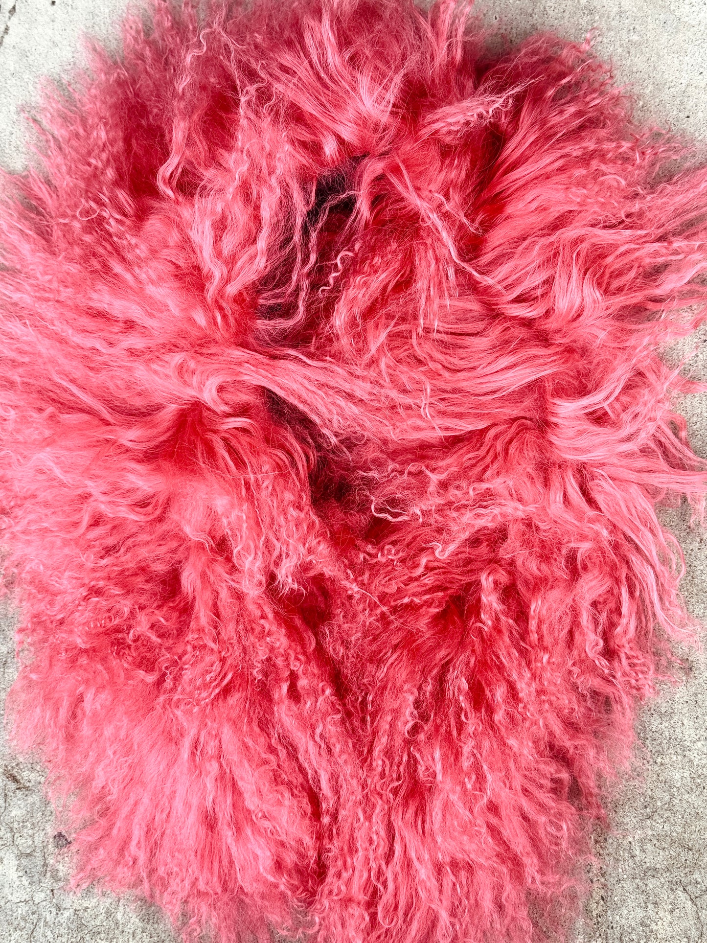 MONGOLIAN CURLY LAMB FUR COLLAR