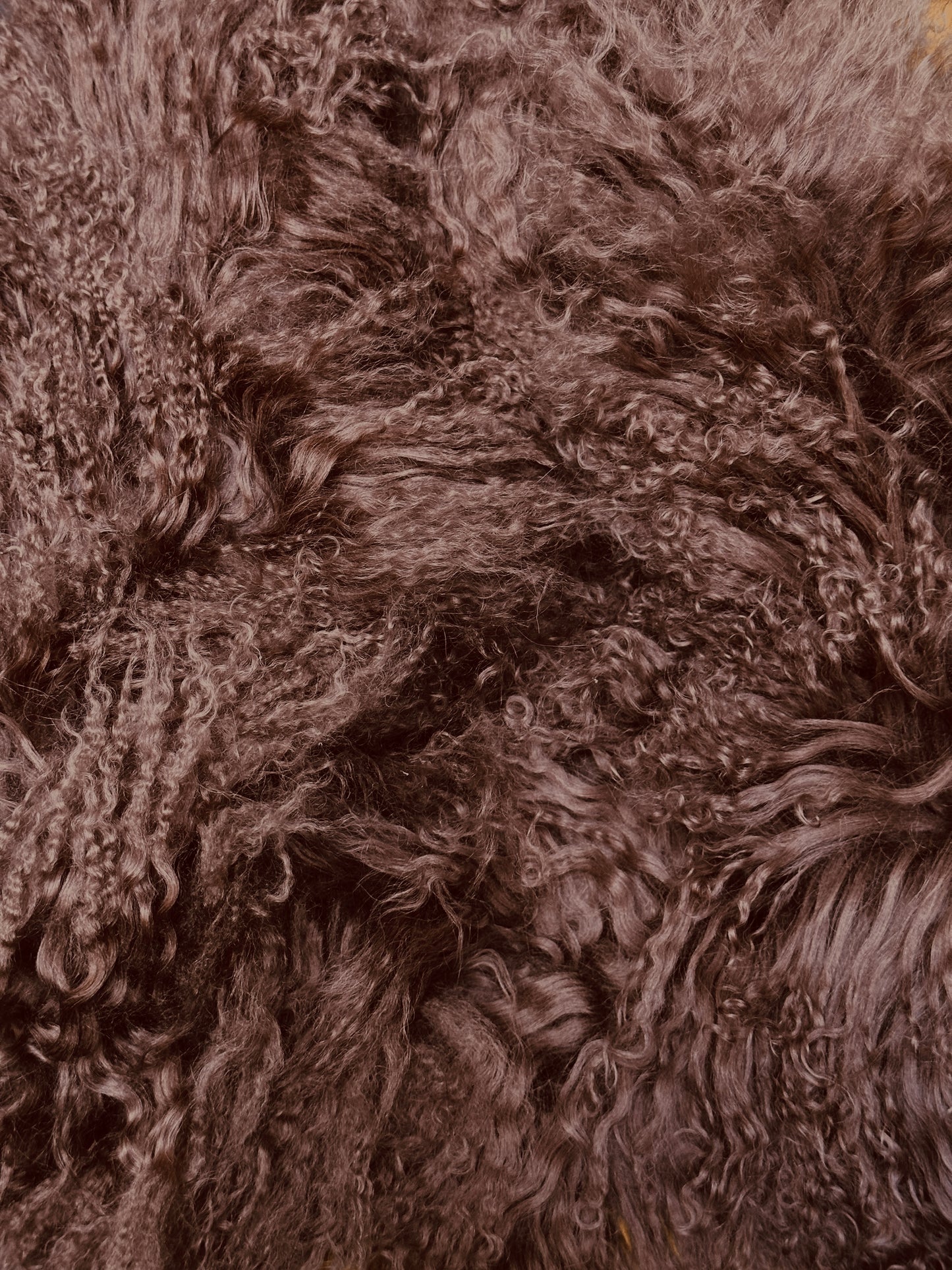 MONGOLIAN LAMB FUR COLLAR