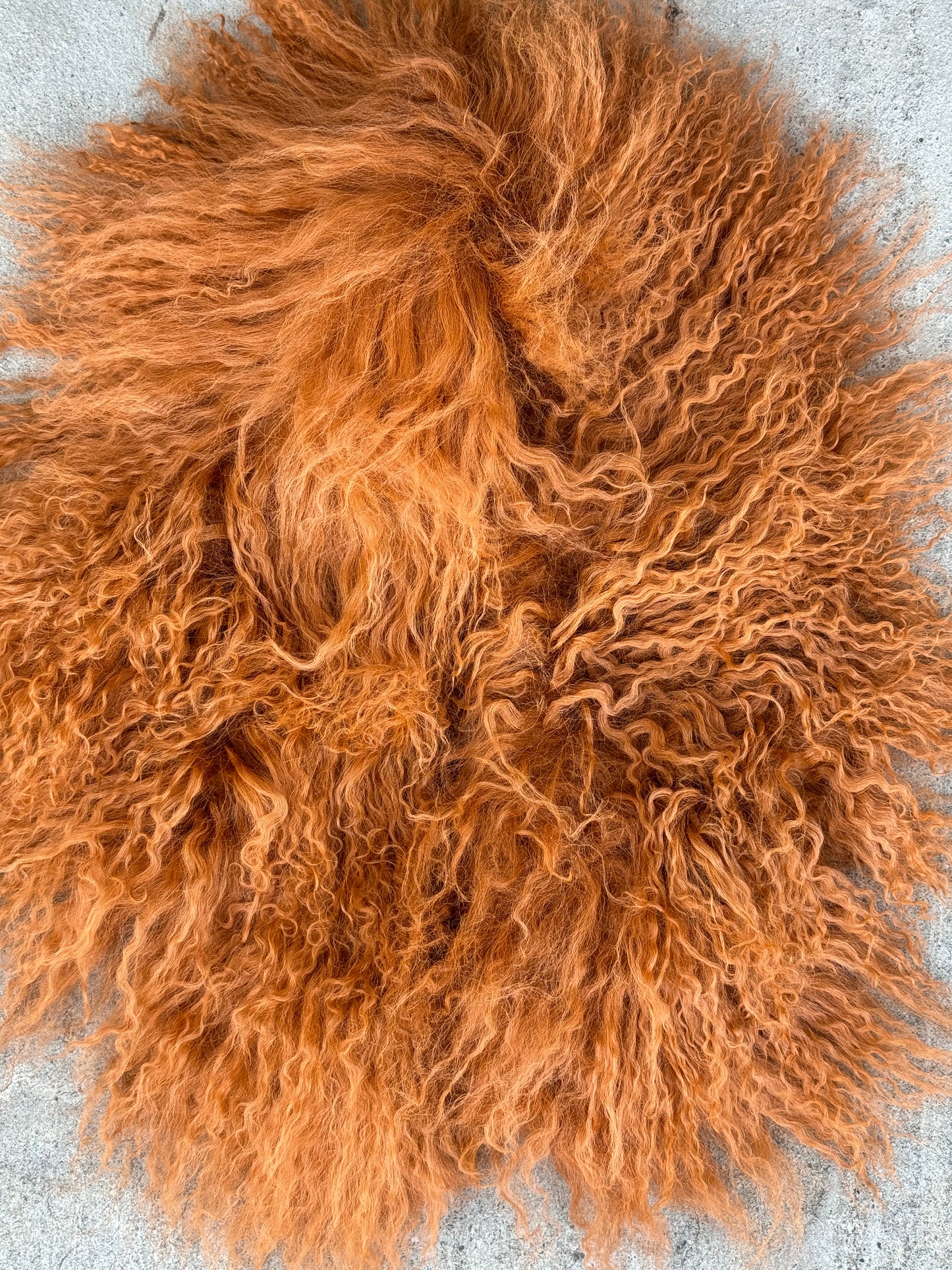 MONGOLIAN LAMB FUR COLLAR