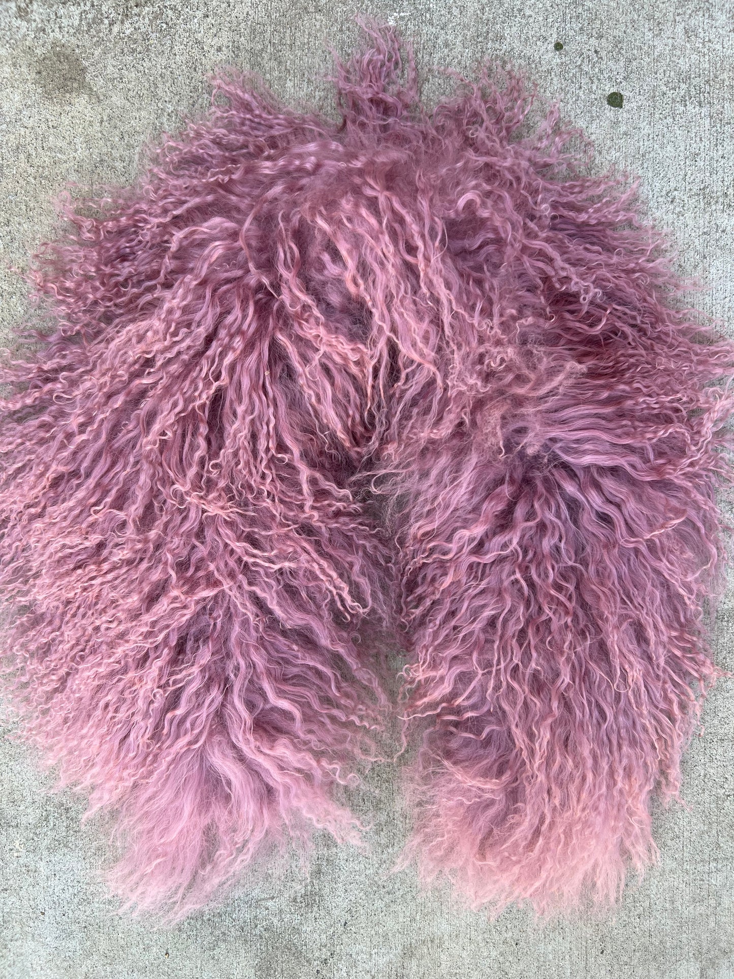 MONGOLIAN LAMB FUR COLLAR