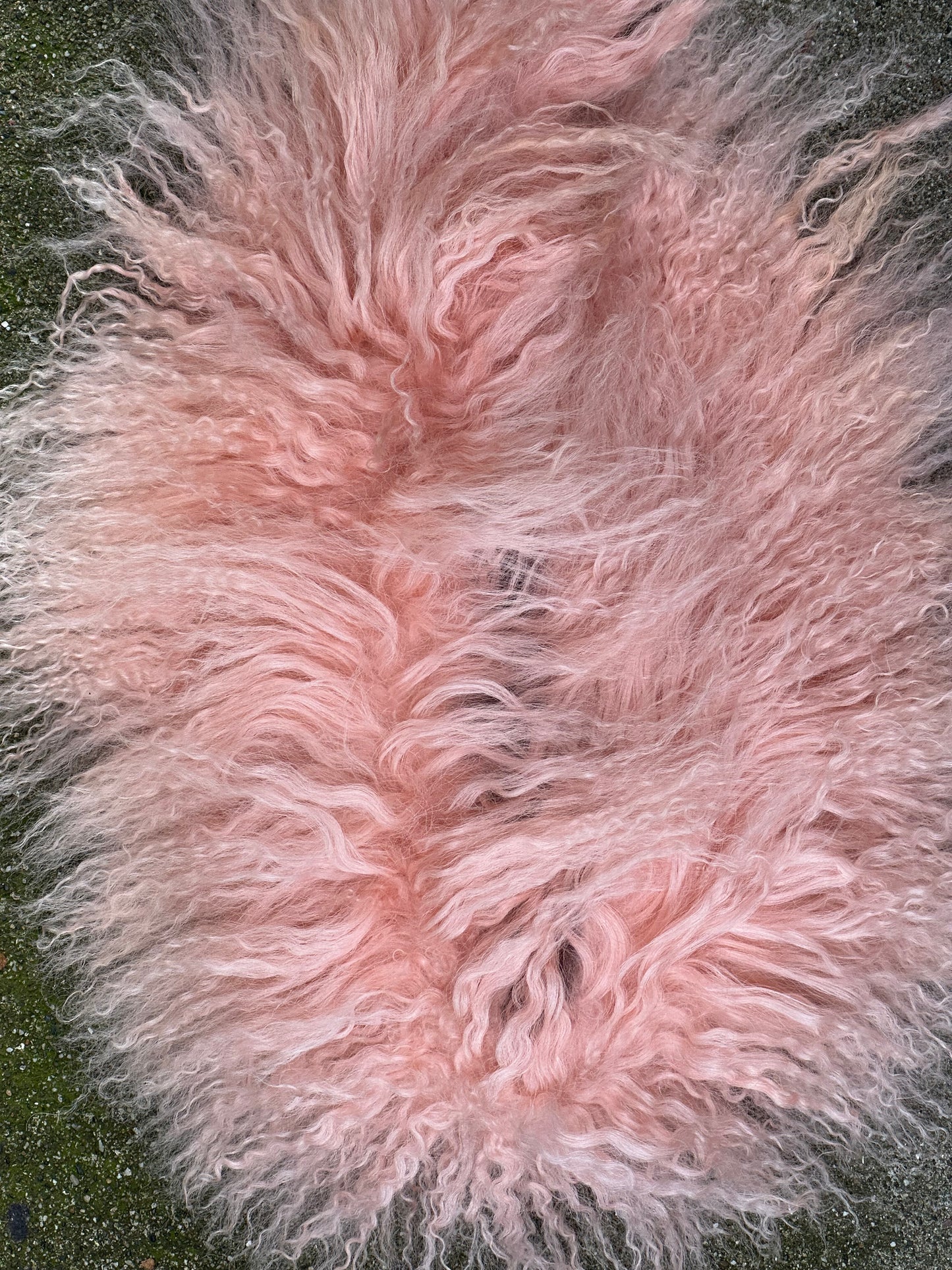 MONGOLIAN LAMB FUR COLLAR